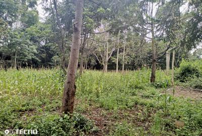 4,044 ac Residential Land at Runda Grove