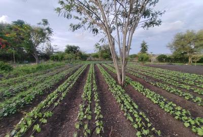 Residential Land in Athi River - 4