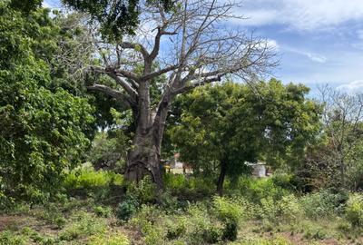 8,093.72 m² Land at Diani 3Rd Row Beach