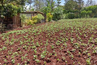 0.045 ha Residential Land at Kikuyu Kamangu