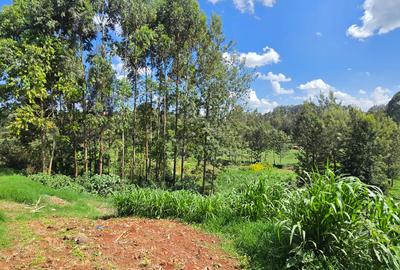 Residential Land in Kitisuru - 3