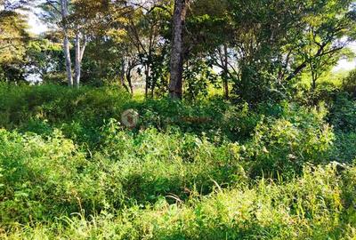 Residential Land at Hardy Area