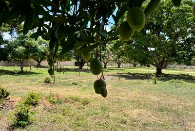 505.86 m² Land in Kikambala - 4