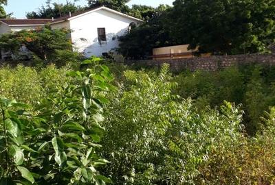 Residential Land in Nyali Area