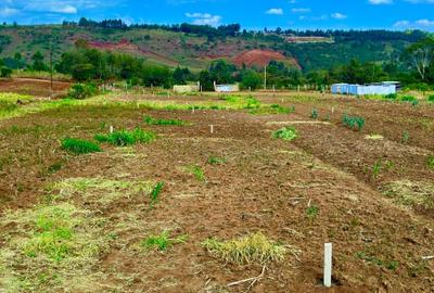 0.045 ha Land at Thigio - 4
