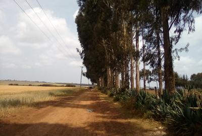 Land at Timau