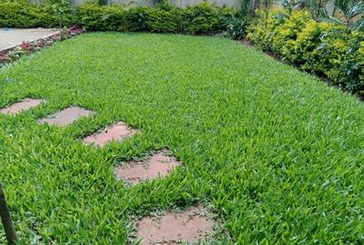 5 Bed House with En Suite at Bamburi Estate - 2