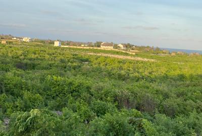 0.125 ac Land at Mayungu