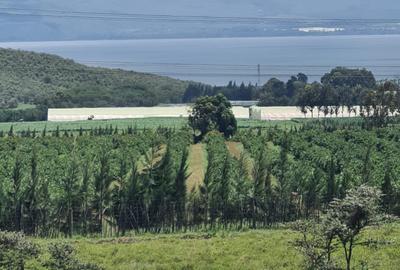 Land in Naivasha