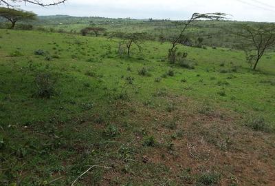 4 ac Residential Land in Kiserian