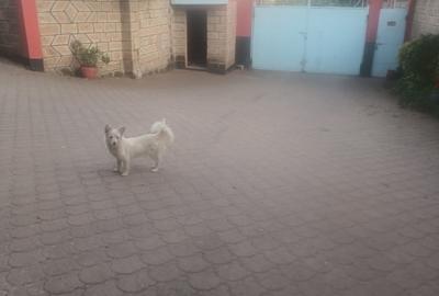 5 Bed House with En Suite at Cedar Avenue