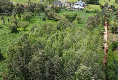 Residential Land at Matasia