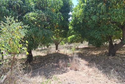 450 ha Land at Kenol Makuyu - 3