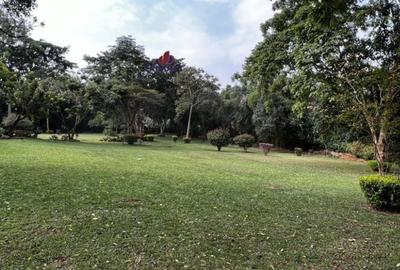 4.1 ac Land in Rosslyn - 4