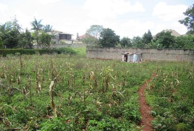 Residential Land at Runda - 3
