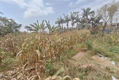 0.62 ac Land at Runda - 4