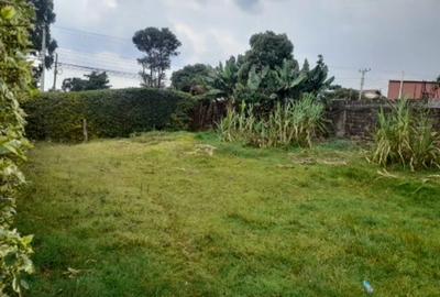 Commercial Property in Kinoo - 4