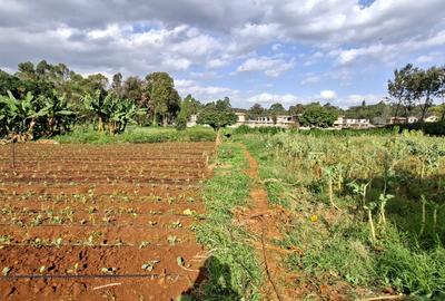 0.2 ha Residential Land at Three Dee Lane - 4