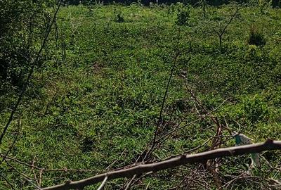 Residential Land in Juja Farm
