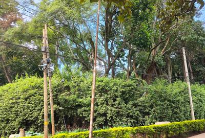 Commercial Land at Off Peponi Road