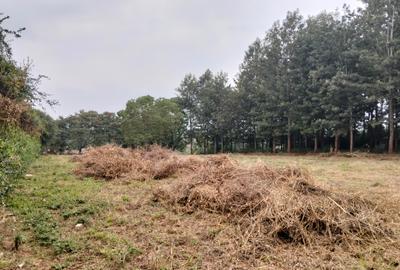 Residential Land at Mumwe - 4