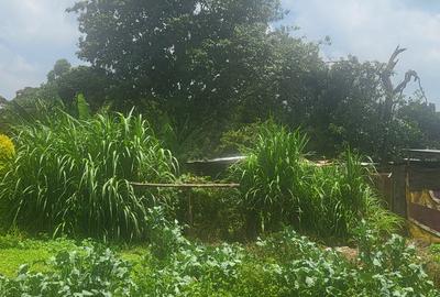 Land in Karen