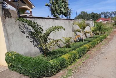 4 Bed House with En Suite at Githingiri - 3