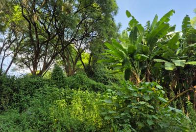 Land in Kitisuru