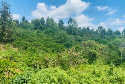 100 ac Land at Kenol-Murang’A Highway - 3