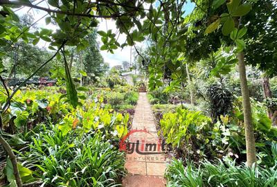 2 Bed House with En Suite in Muthaiga - 4