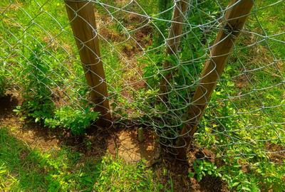 1,000 m² Residential Land at Bondeni - 3