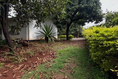 Commercial Property with Fibre Internet in Riverside - 3