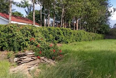 0.5 ac Residential Land at Bomas