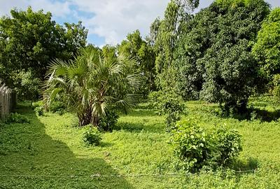 Land at Mtwapa - 4