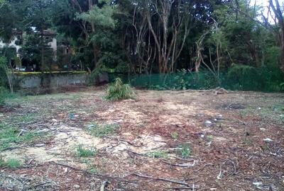 0.781 ac Land at Convent Road