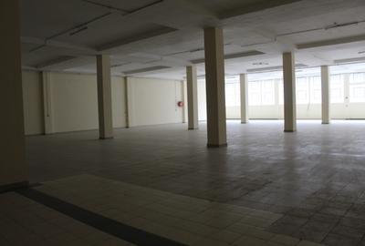 Commercial Property with Parking in Industrial Area - 4