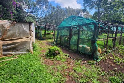 Commercial Property with Service Charge Included at Bomas