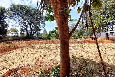 Residential Land at Westlands