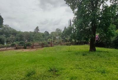 Land in Lavington