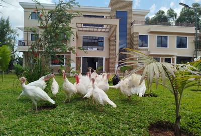 7 Bed House with En Suite in Karen