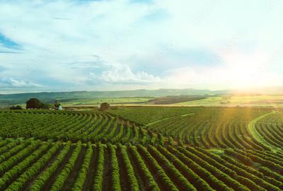 1 ac Land at Riara Ridge