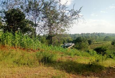 Land in Tigoni - 3