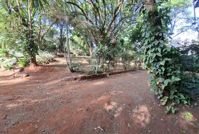 3 Bed House with En Suite in Spring Valley - 4