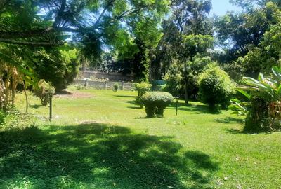 1 ac Commercial Property with Fibre Internet at Lavington