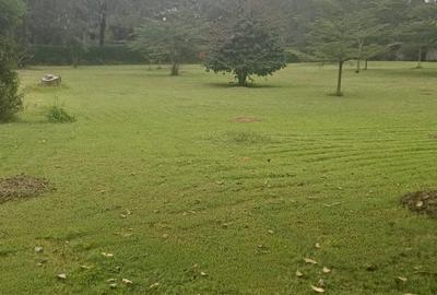 5 ac Land in Karen