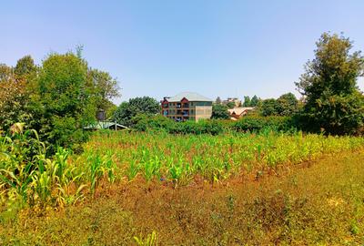 1,000 m² Residential Land at Gikambura - 3