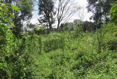 1 ac Land at Runda Grove