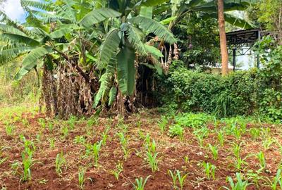 1 ac Residential Land at Muchatha - 3