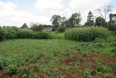 Residential Land at Mushroom Gardens - 2