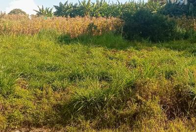 Land at Muhuri Road